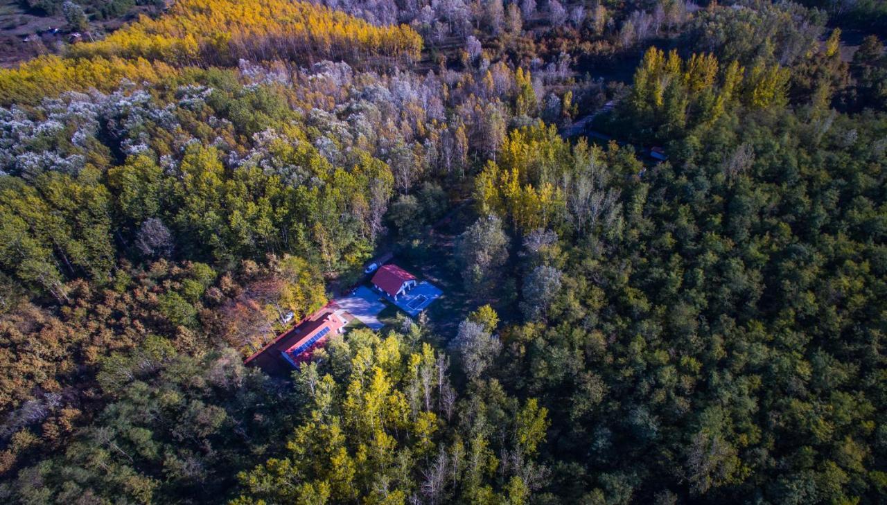 Bagosi Vendeghaz Hotell Hajdubagos Exteriör bild